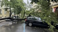 foto 1 (10)